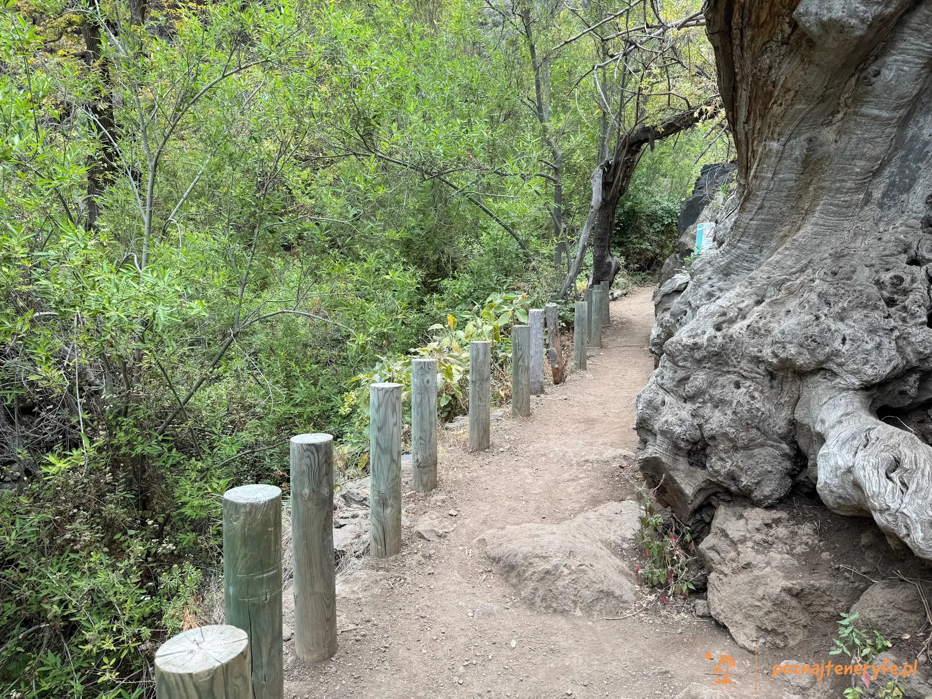 Barranco del Infierno