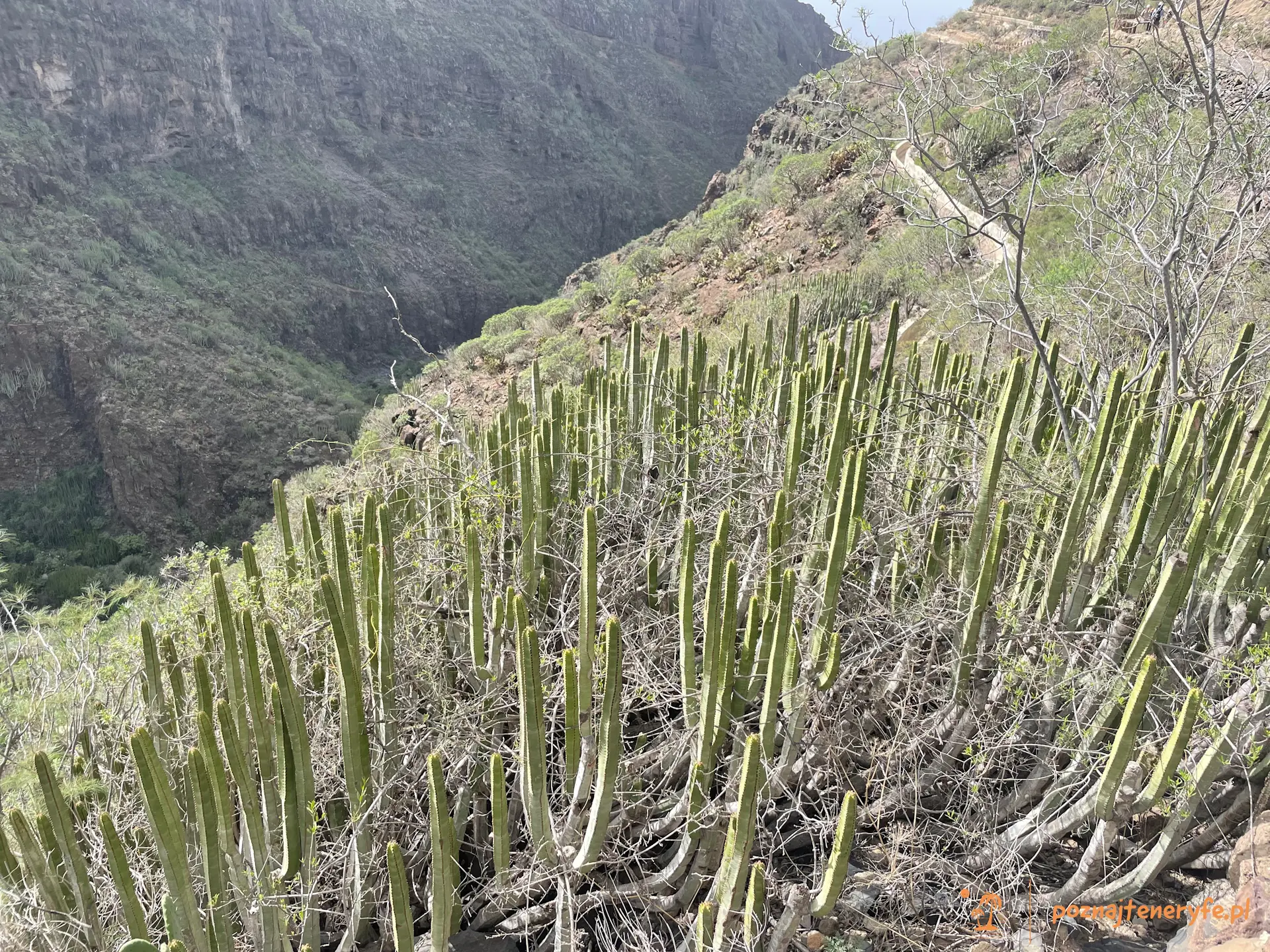 Barranco del Infierno