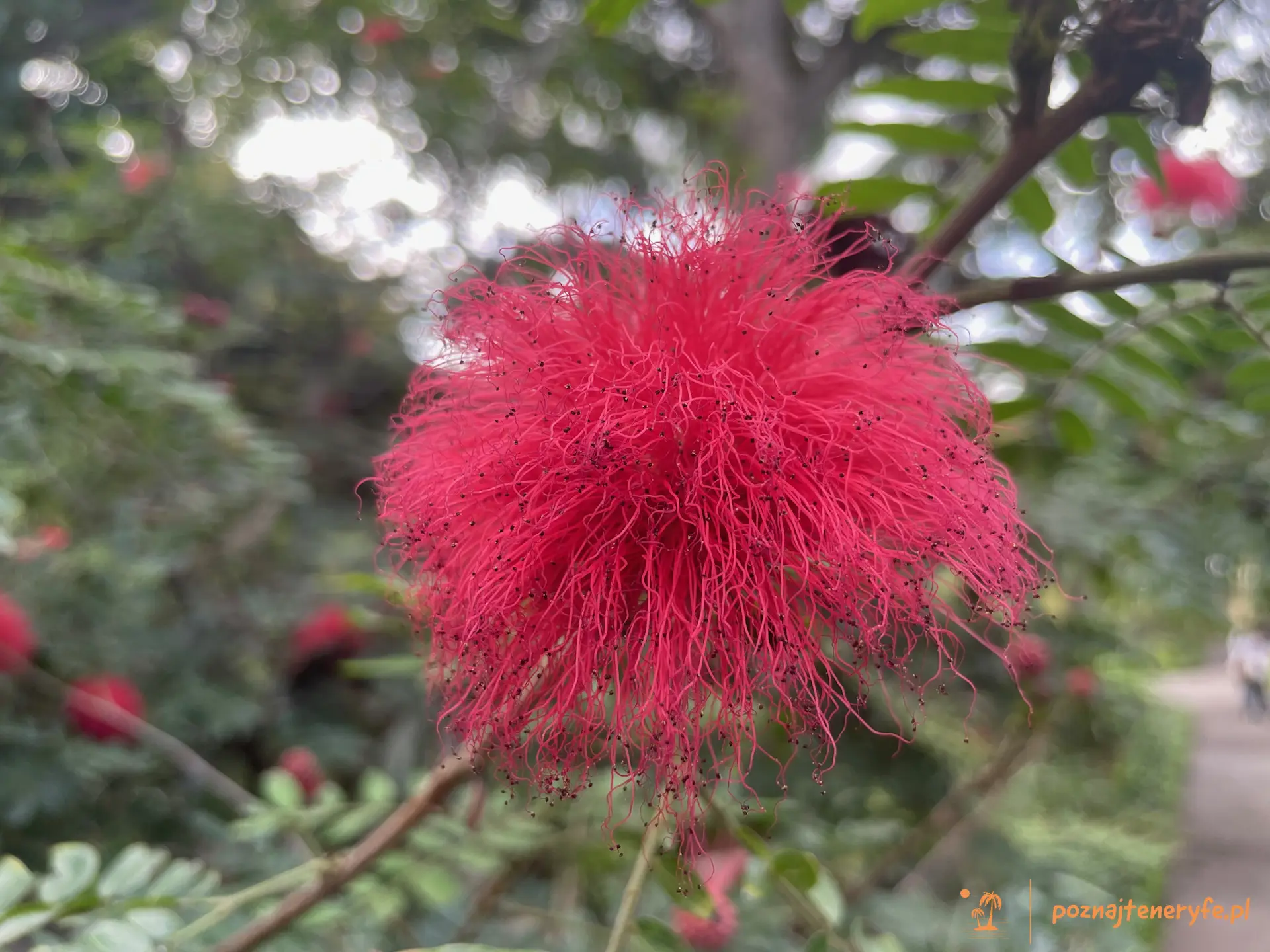 Jardín Botánico