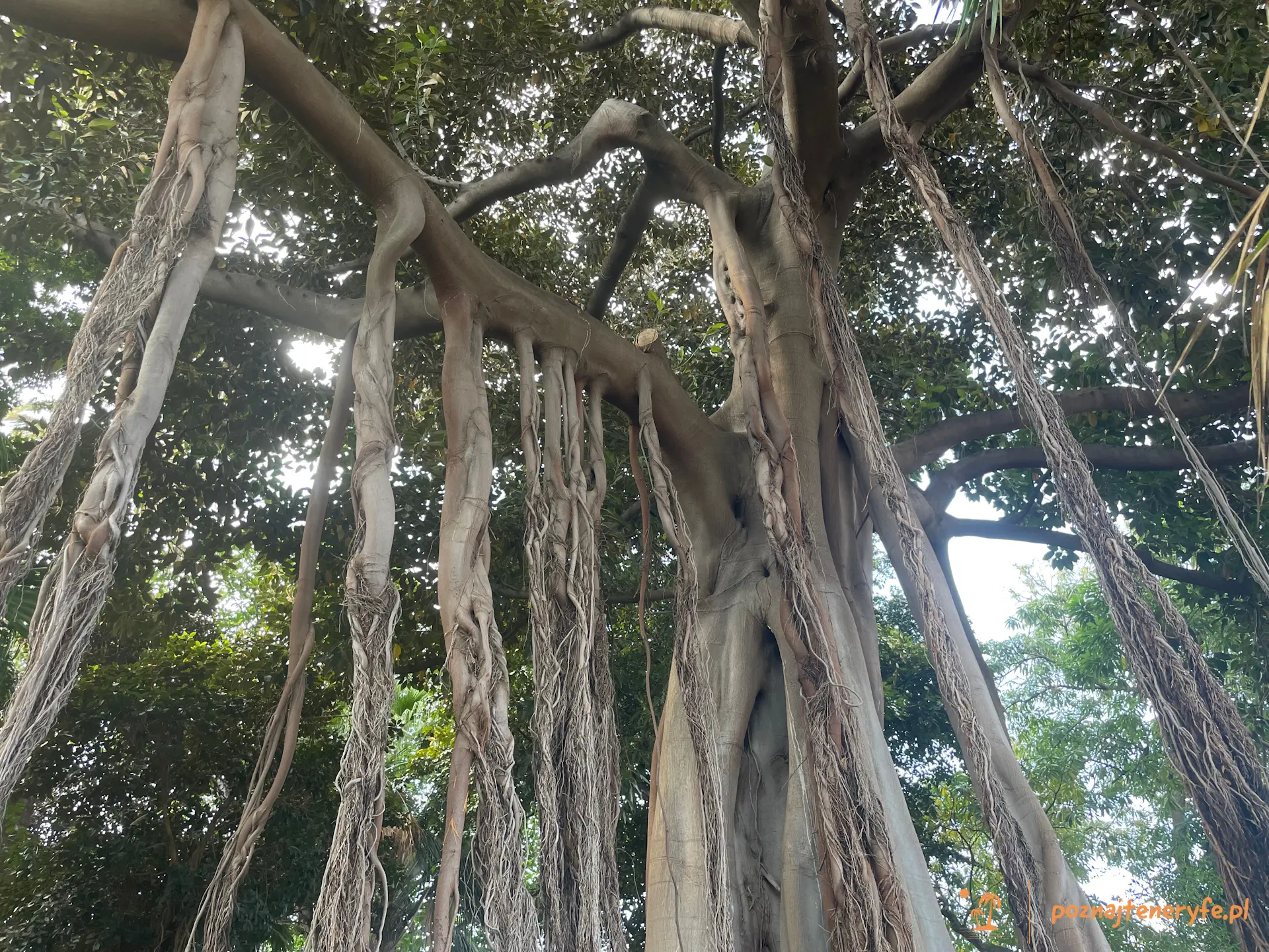 Jardín Botánico