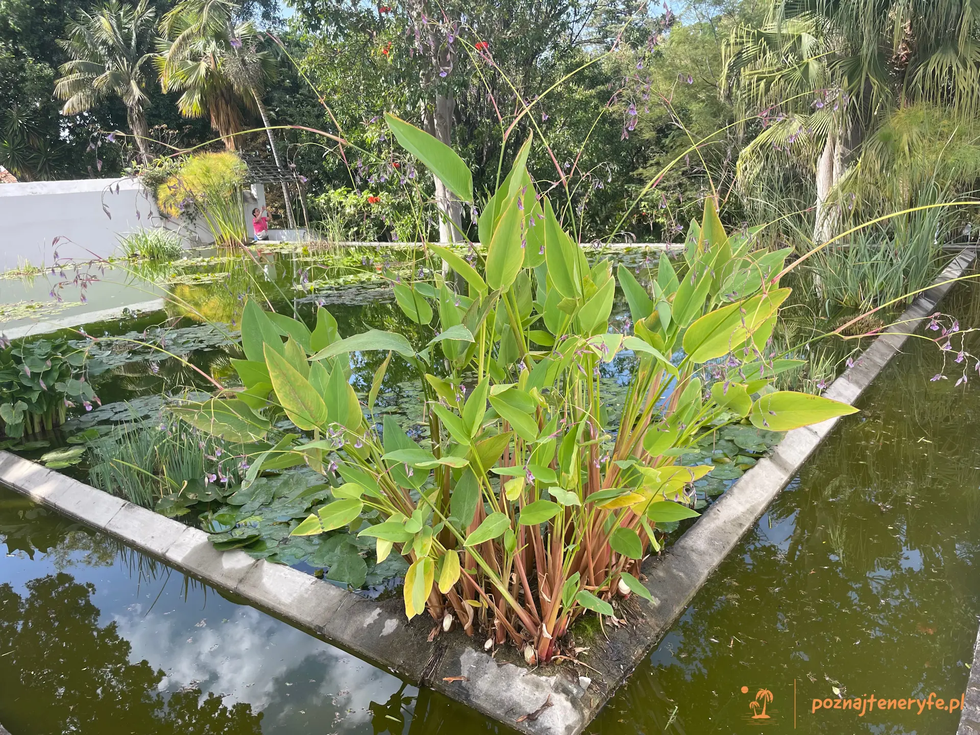 Jardín Botánico