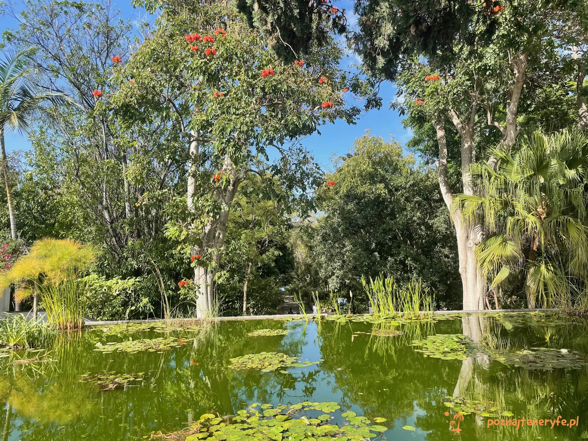 Jardín Botánico