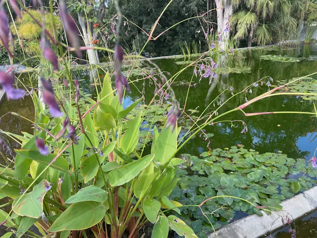 Jardín Botánico