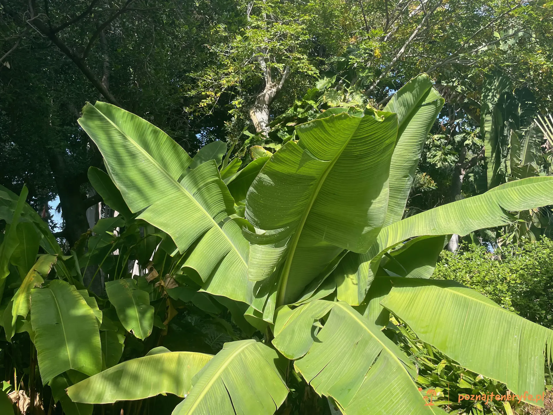 Jardín Botánico