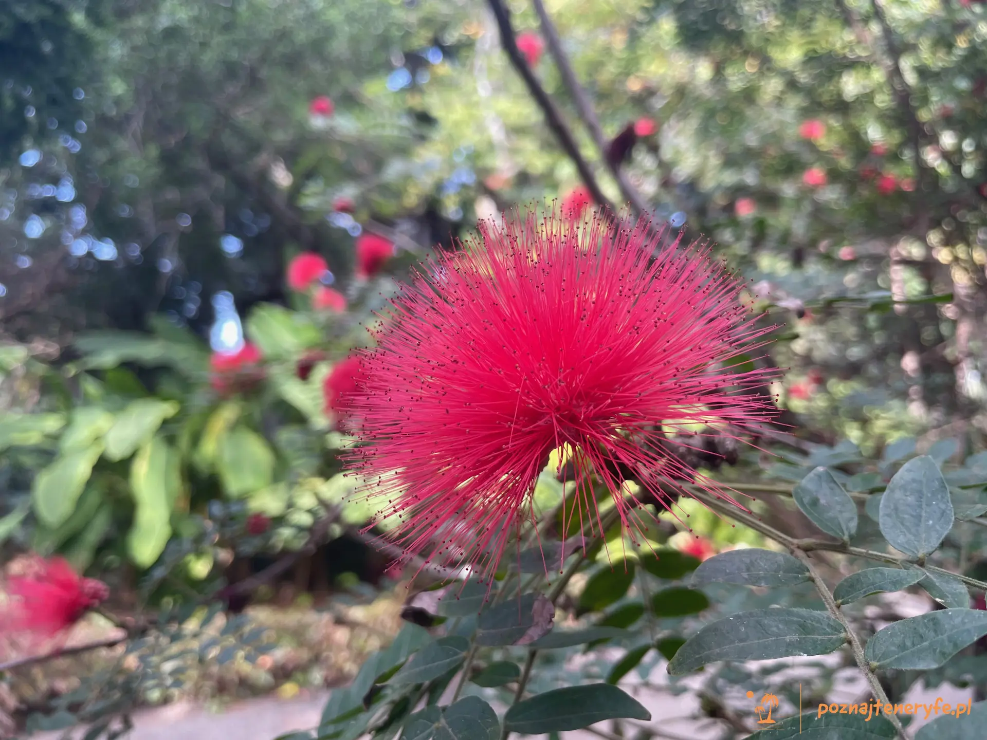 Jardín Botánico