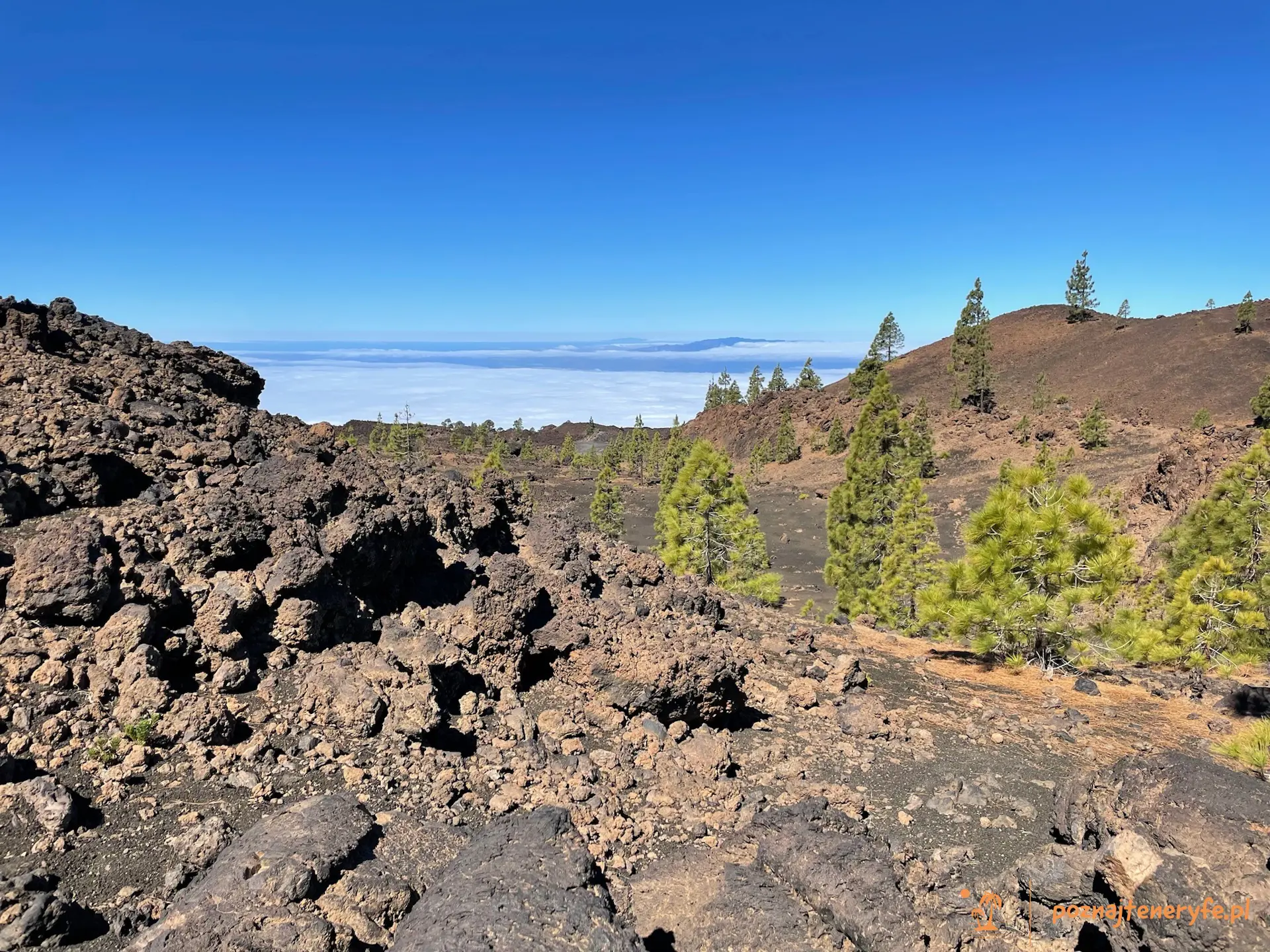 Parque Nacional del Teide