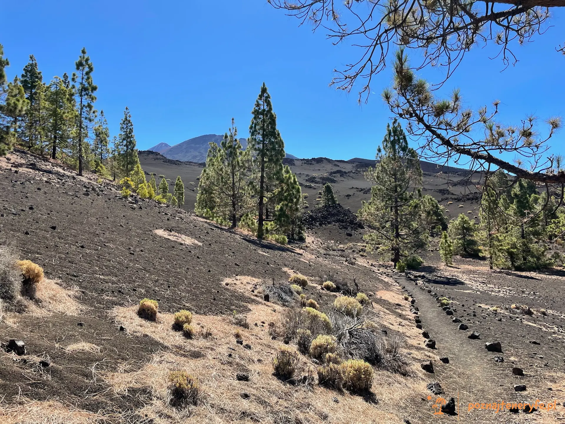 Parque Nacional del Teide