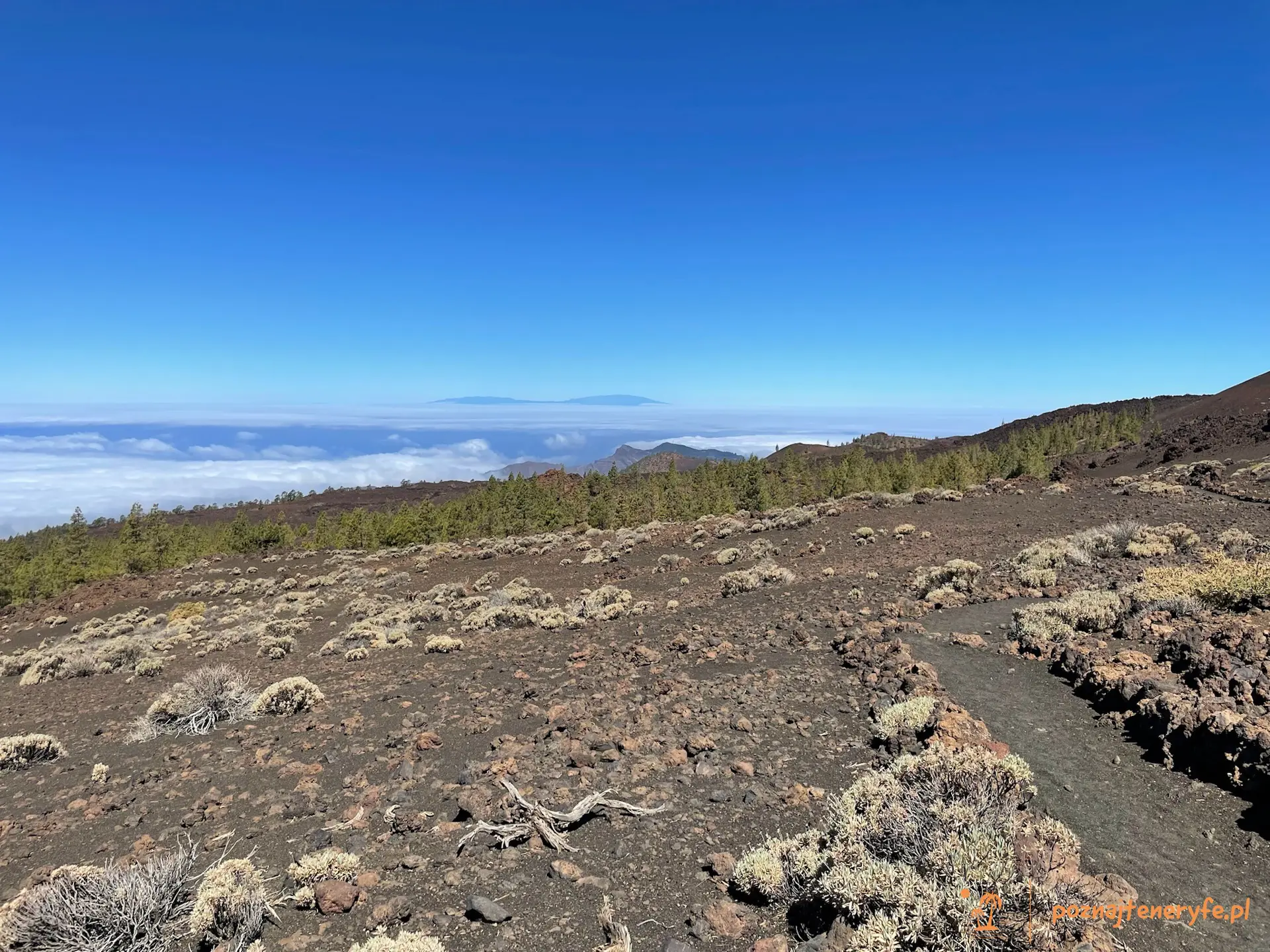 Parque Nacional del Teide