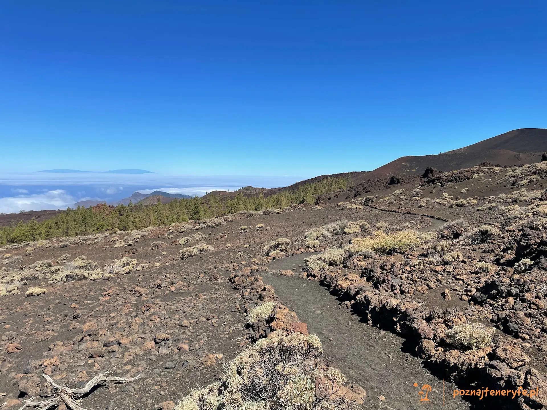 Parque Nacional del Teide