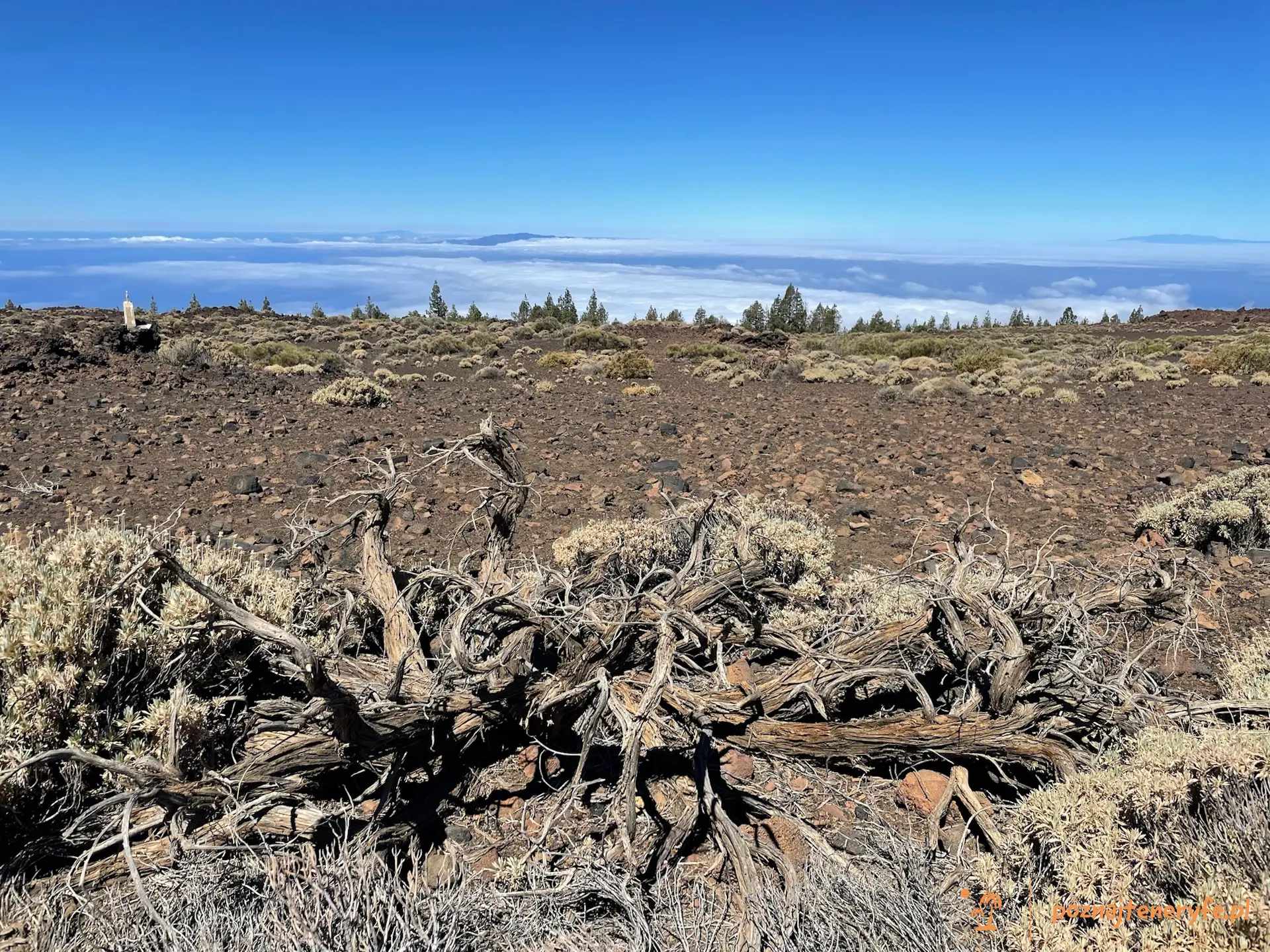 Parque Nacional del Teide