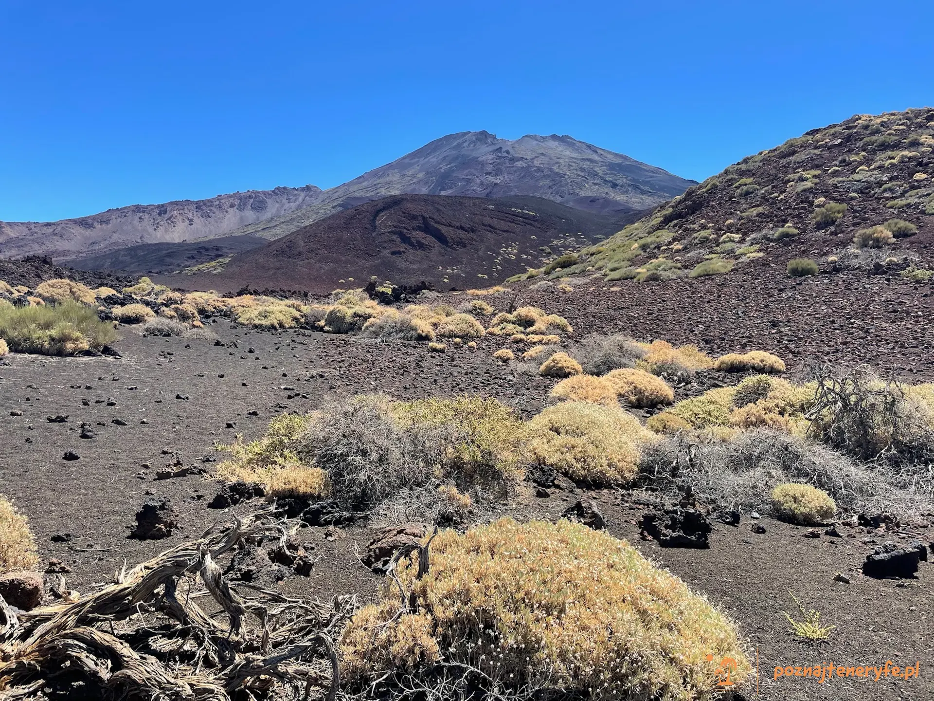 Parque Nacional del Teide