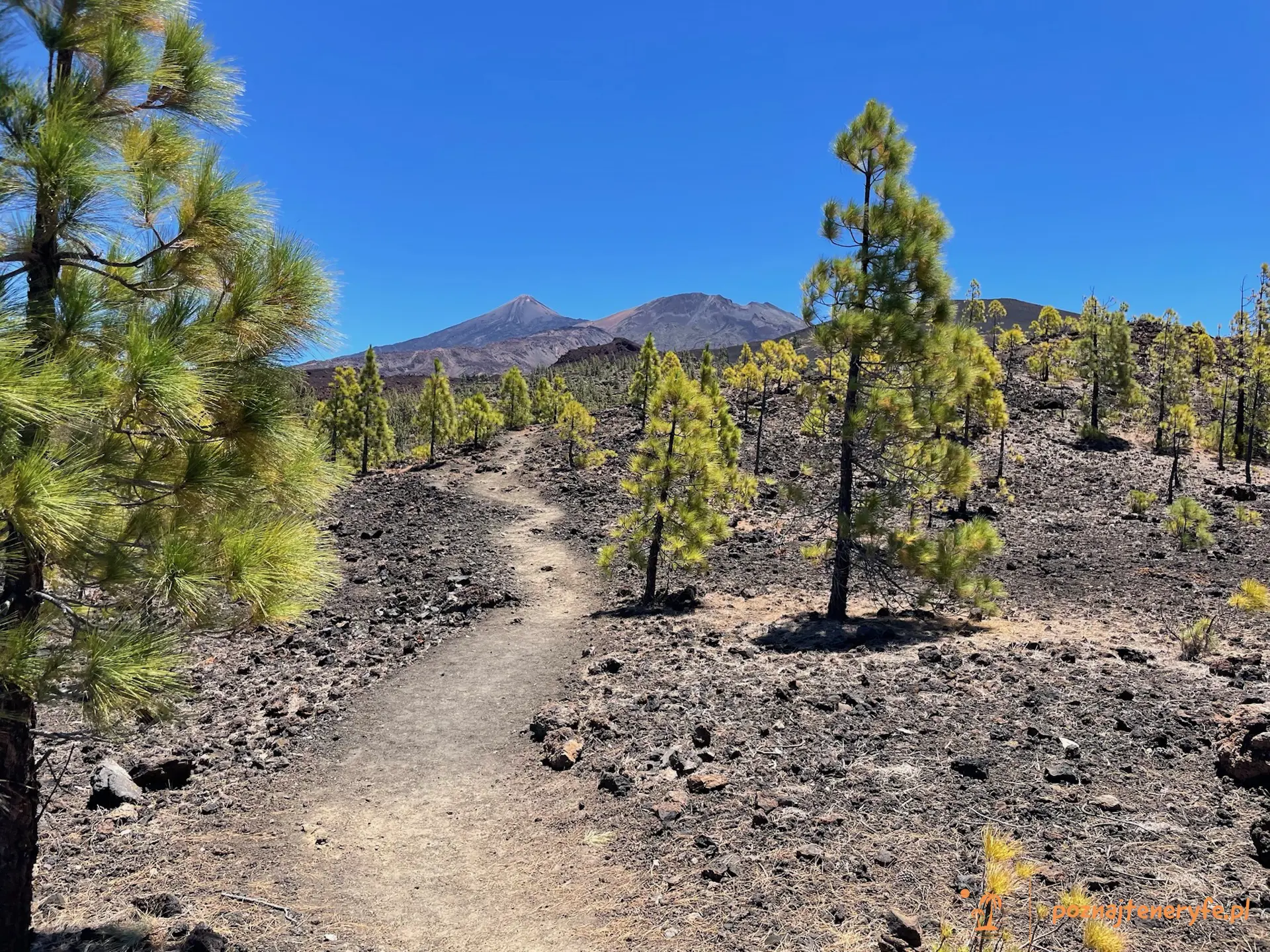 Parque Nacional del Teide