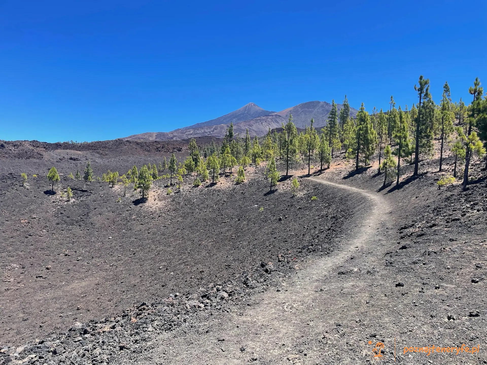 Parque Nacional del Teide