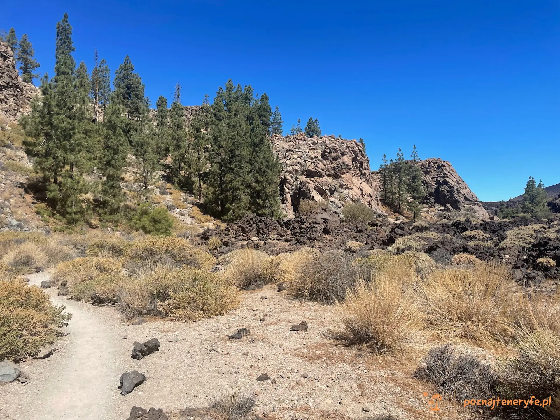 Parque Nacional del Teide