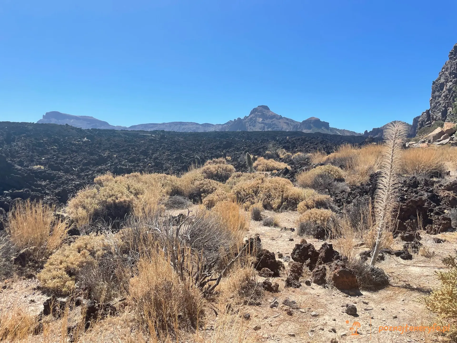 Parque Nacional del Teide