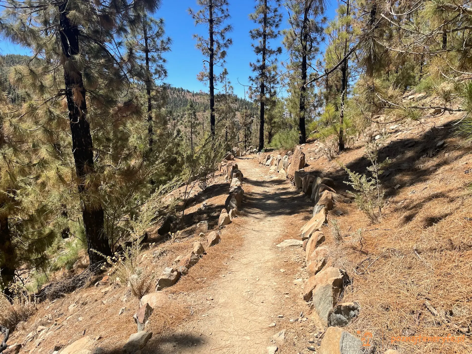 Parque Nacional del Teide