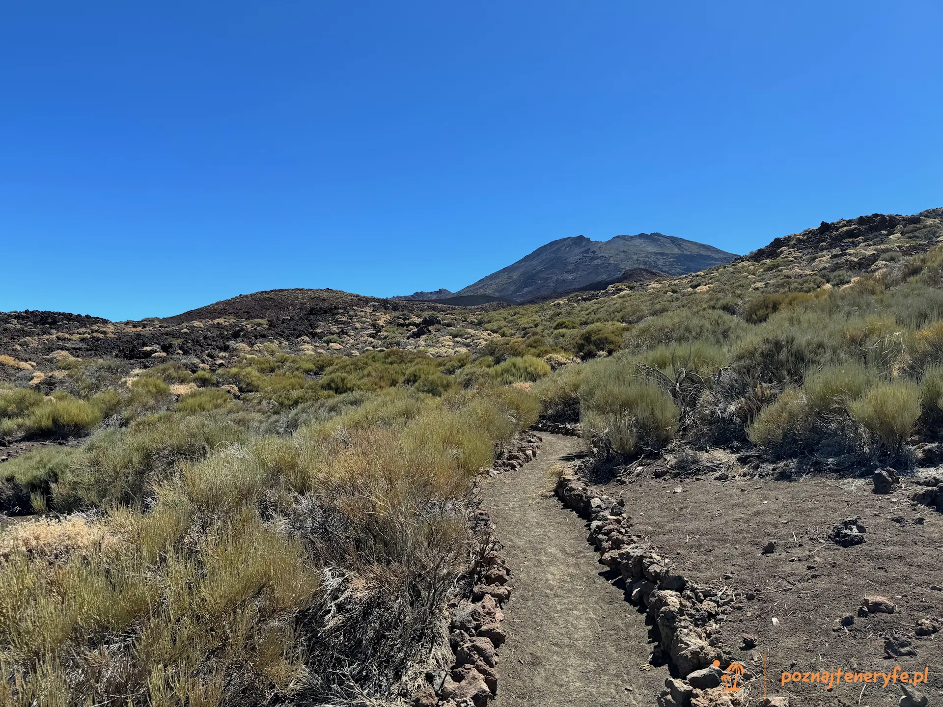 Parque Nacional del Teide