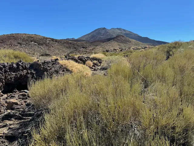 Parque Nacional del Teide