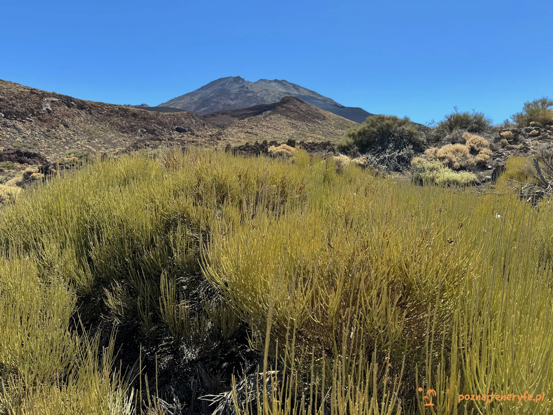 Parque Nacional del Teide