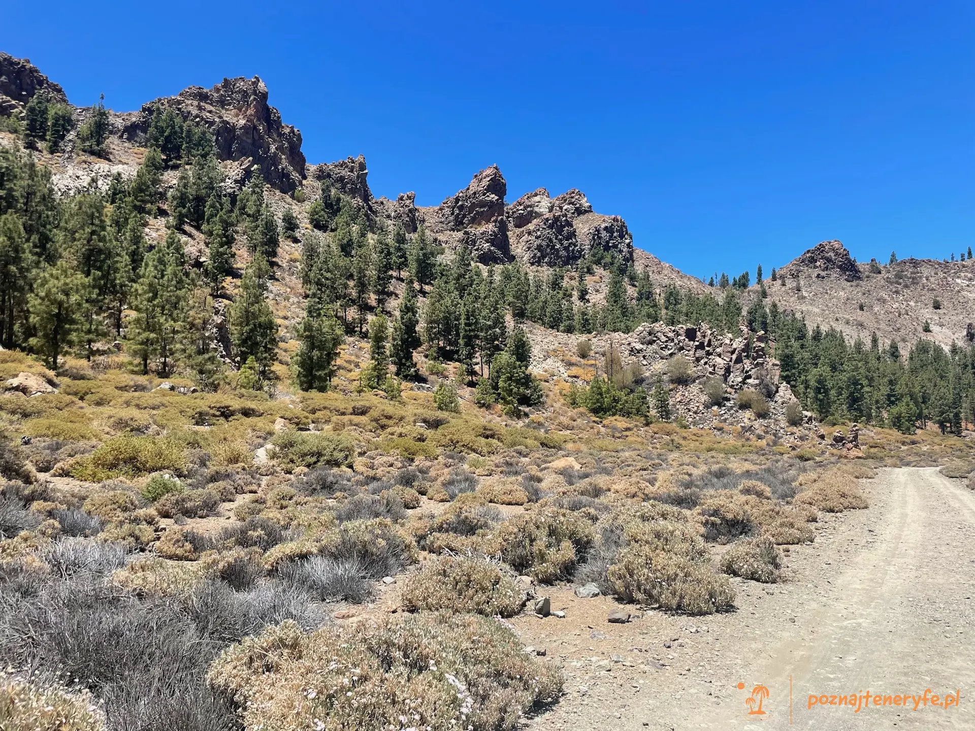 Parque Nacional del Teide