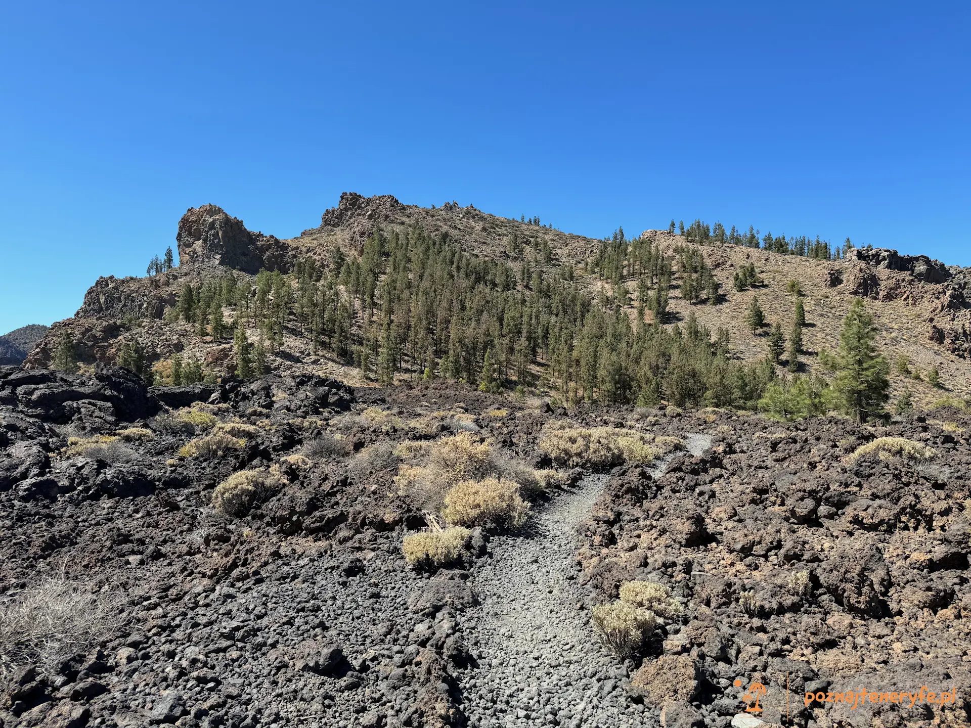 Parque Nacional del Teide