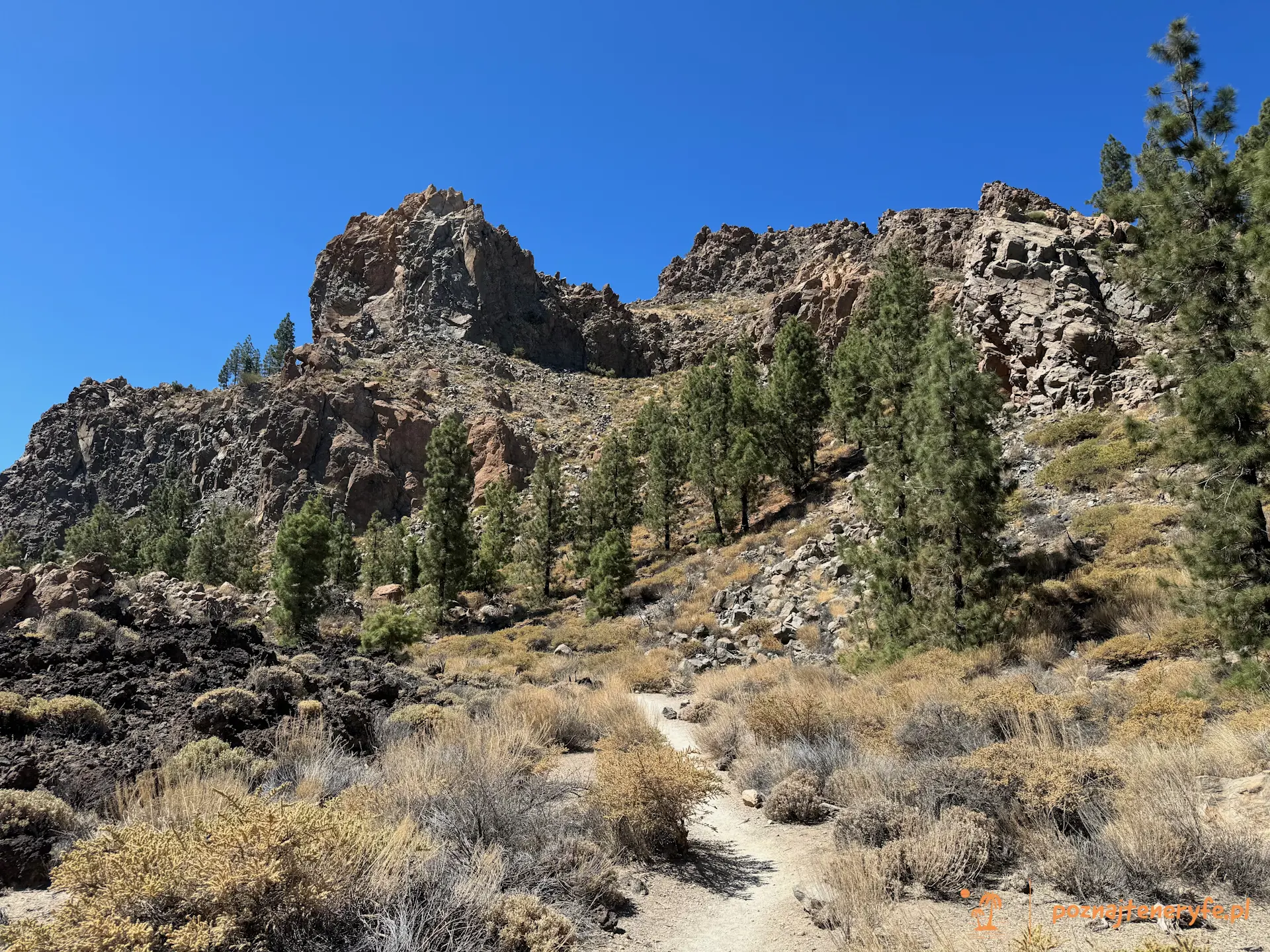 Parque Nacional del Teide