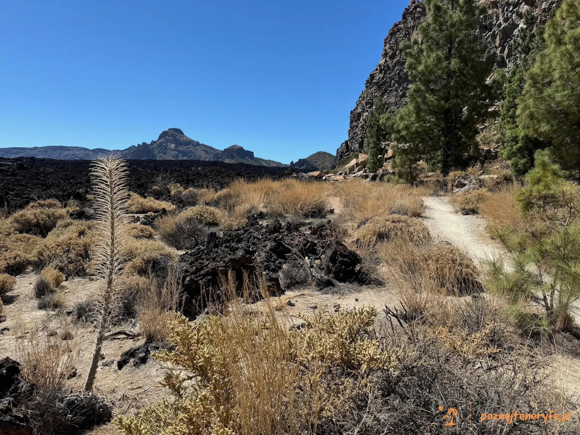 Parque Nacional del Teide