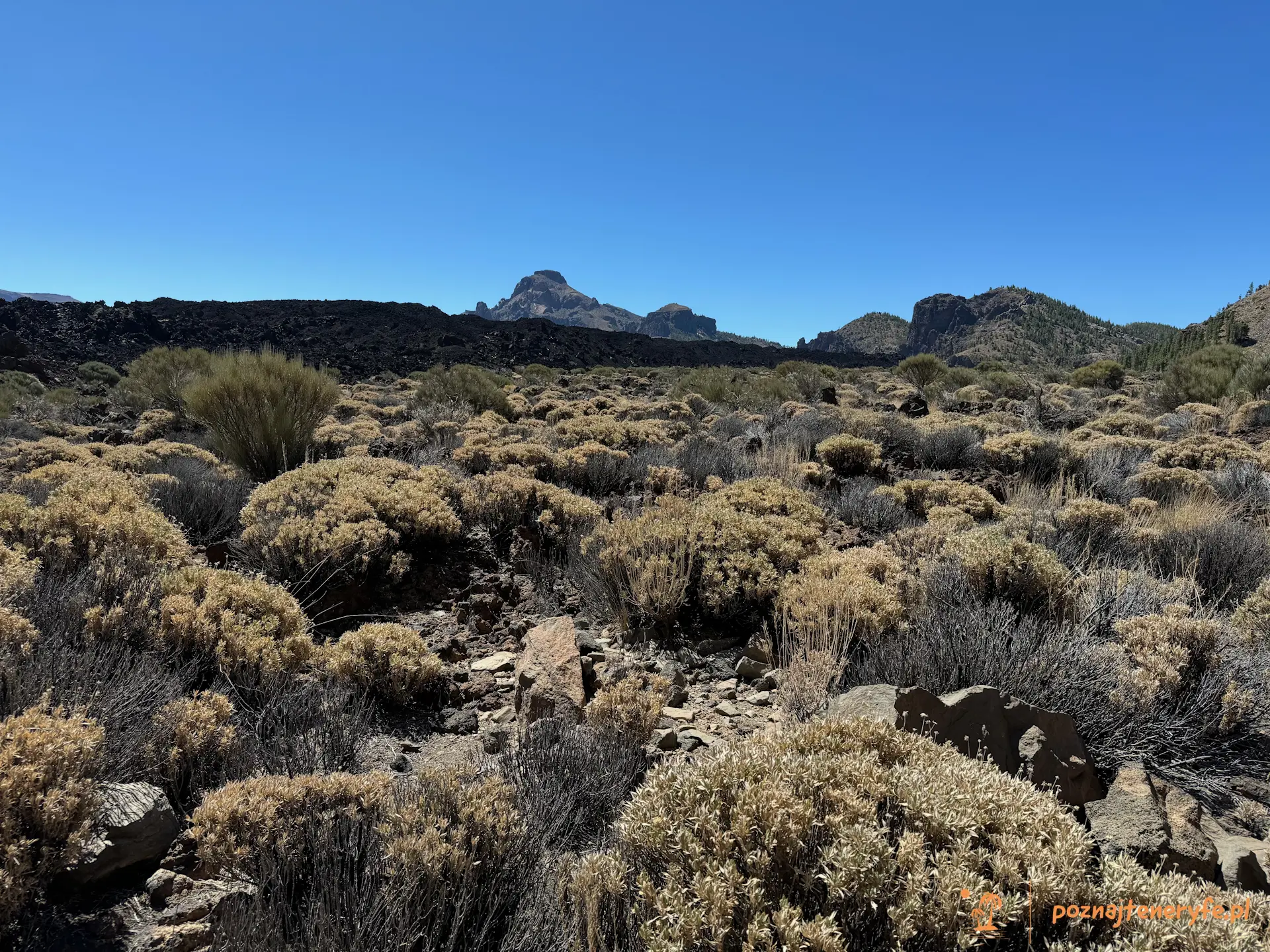 Parque Nacional del Teide