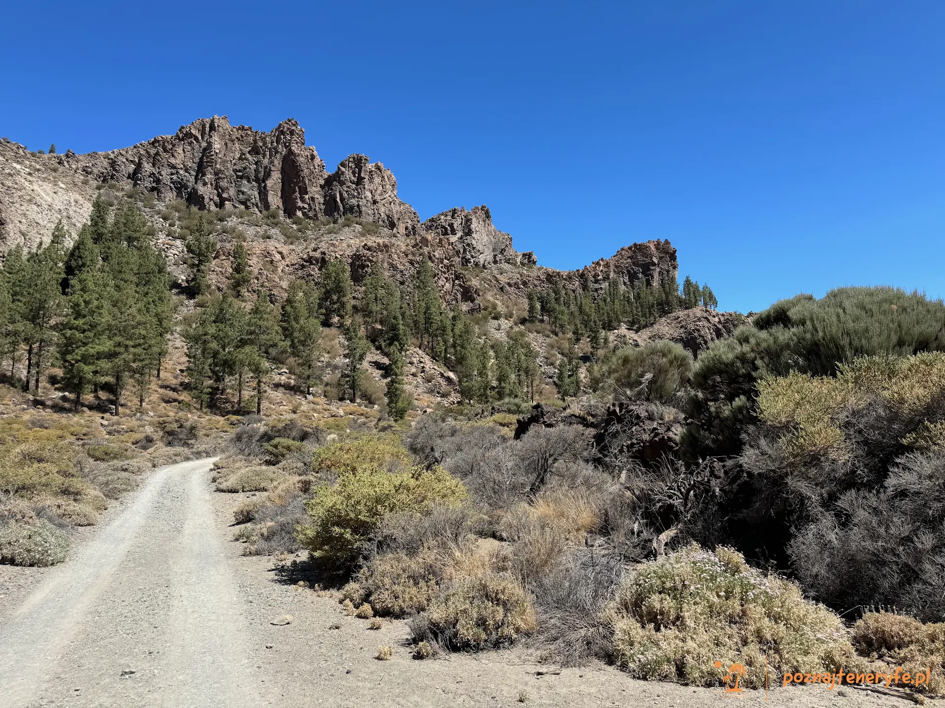 Parque Nacional del Teide