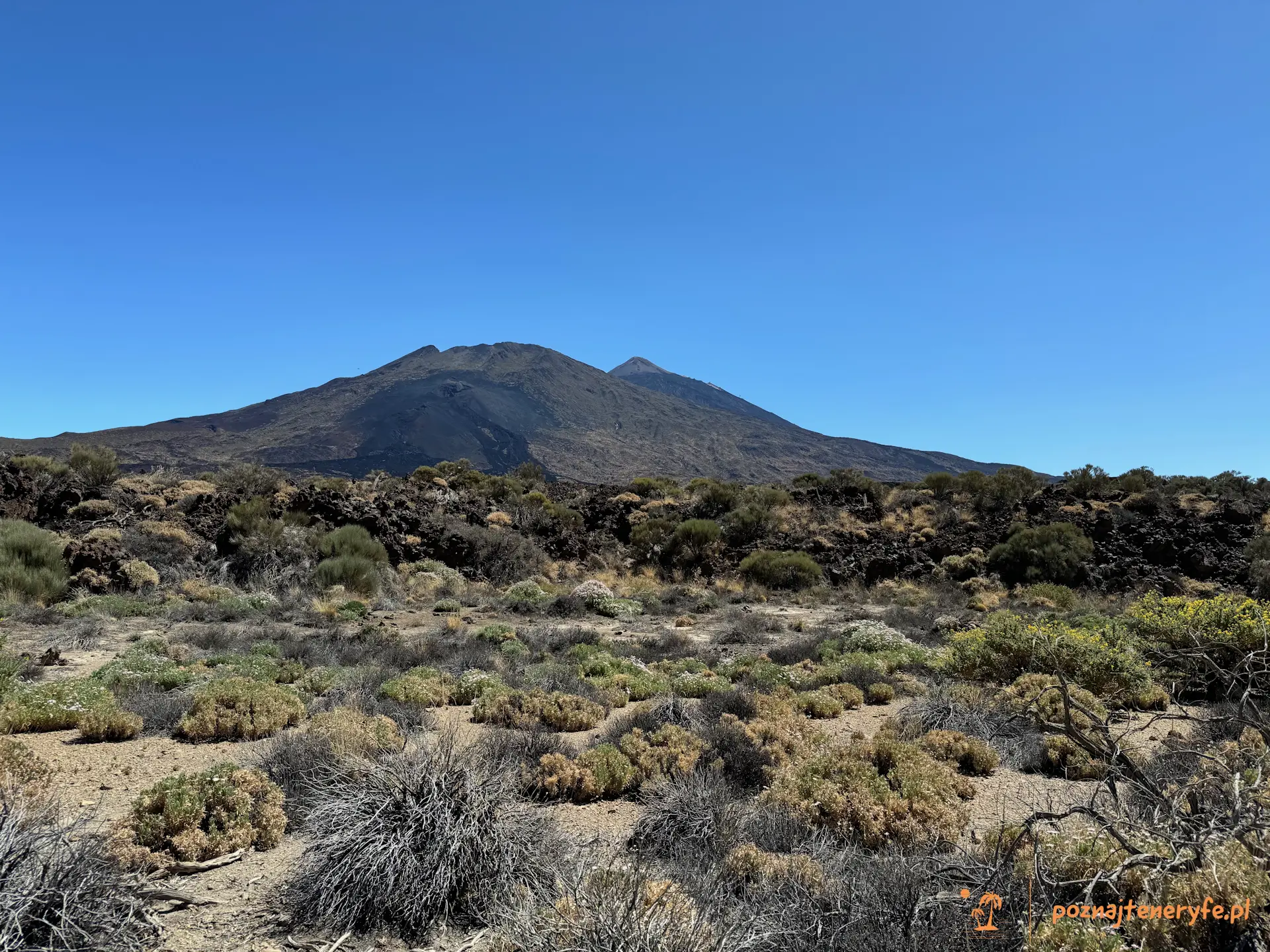 Parque Nacional del Teide