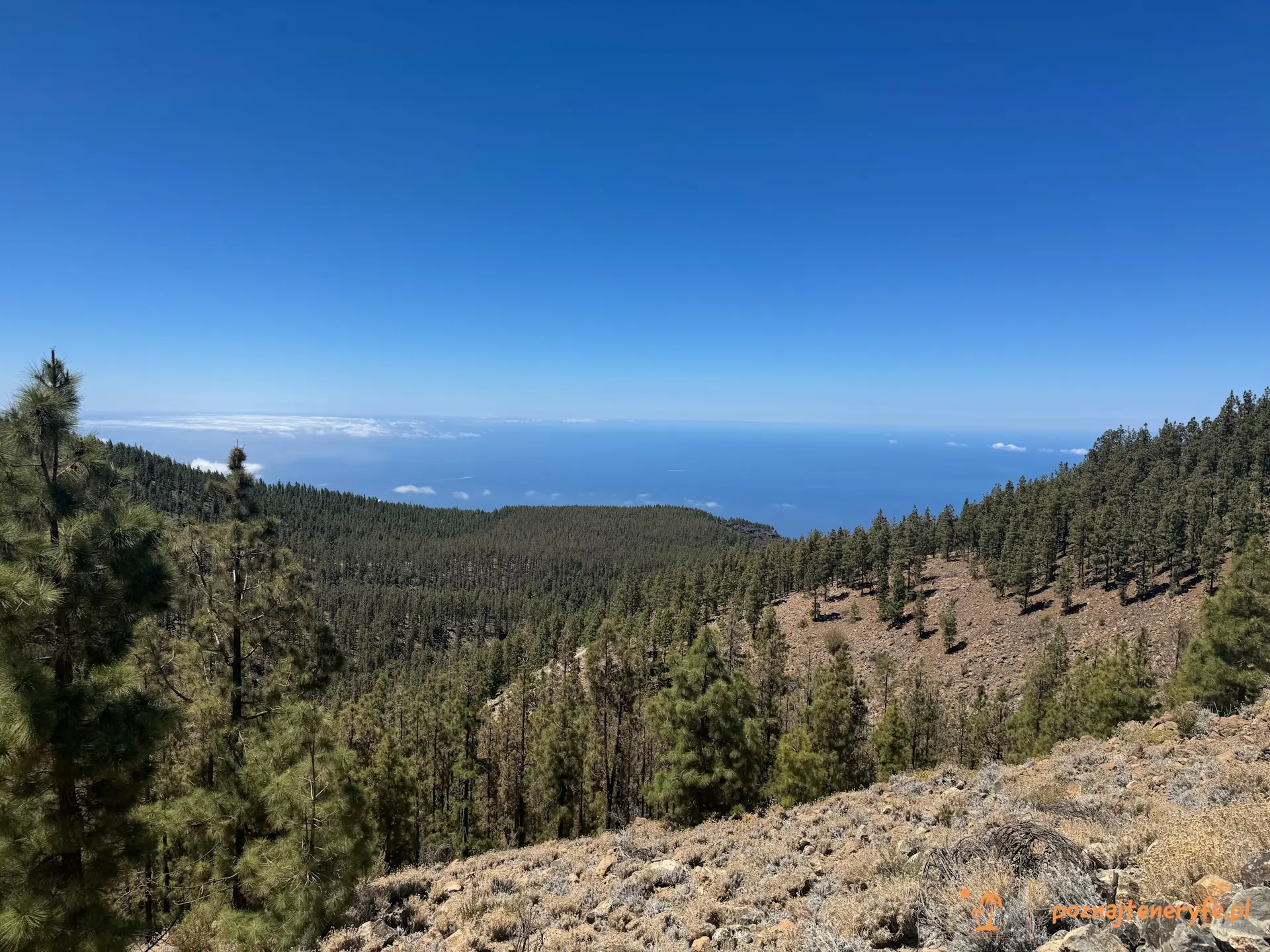 Parque Nacional del Teide