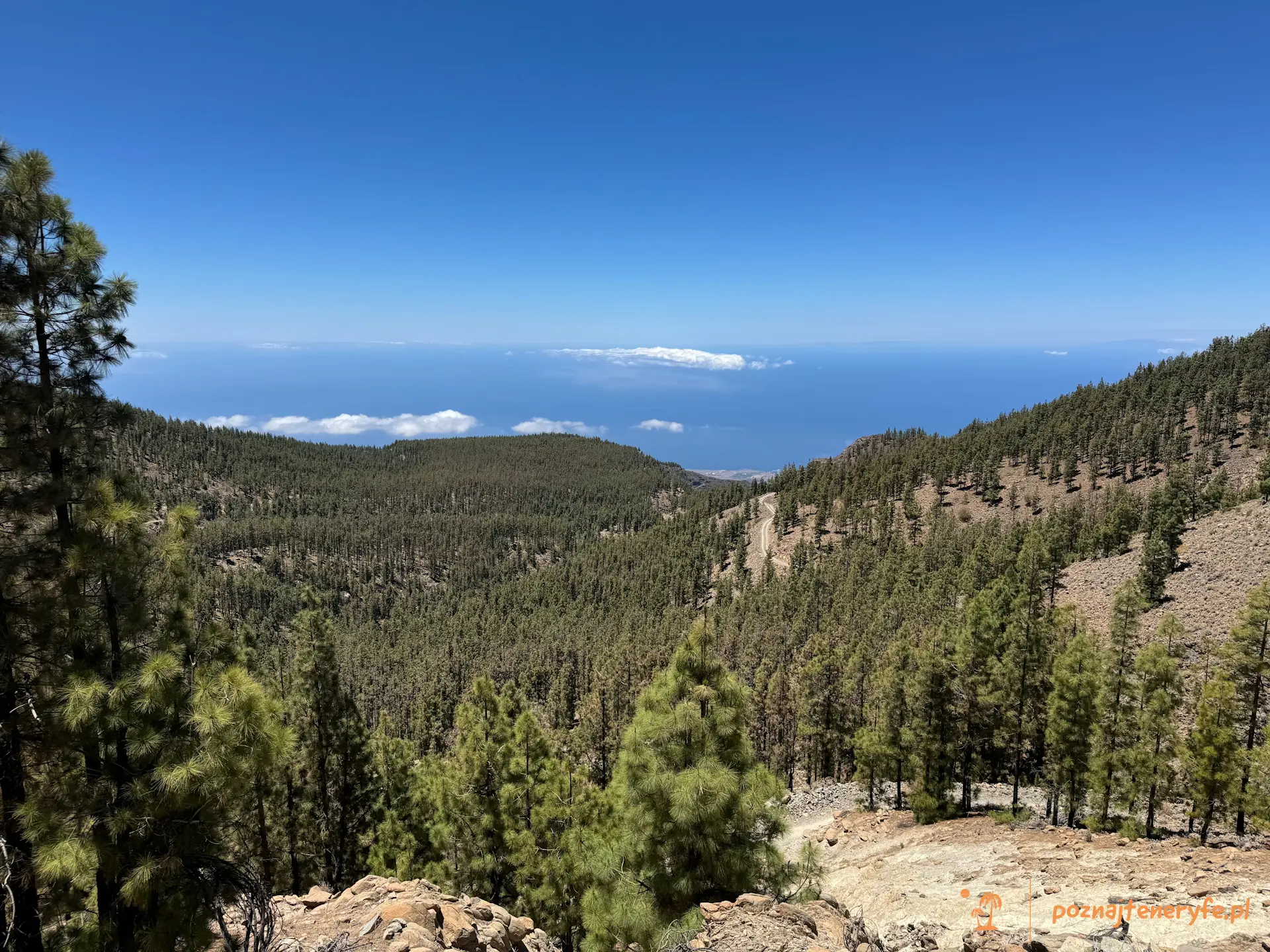 Parque Nacional del Teide