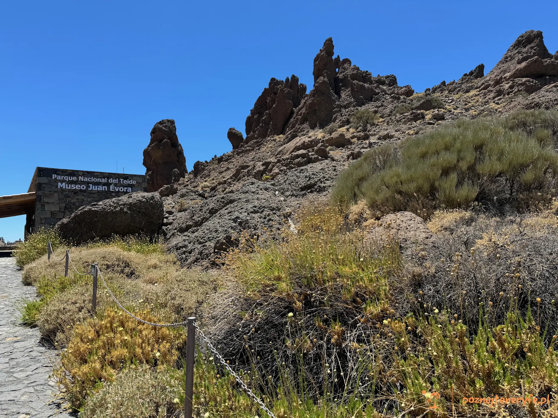 Parque Nacional del Teide