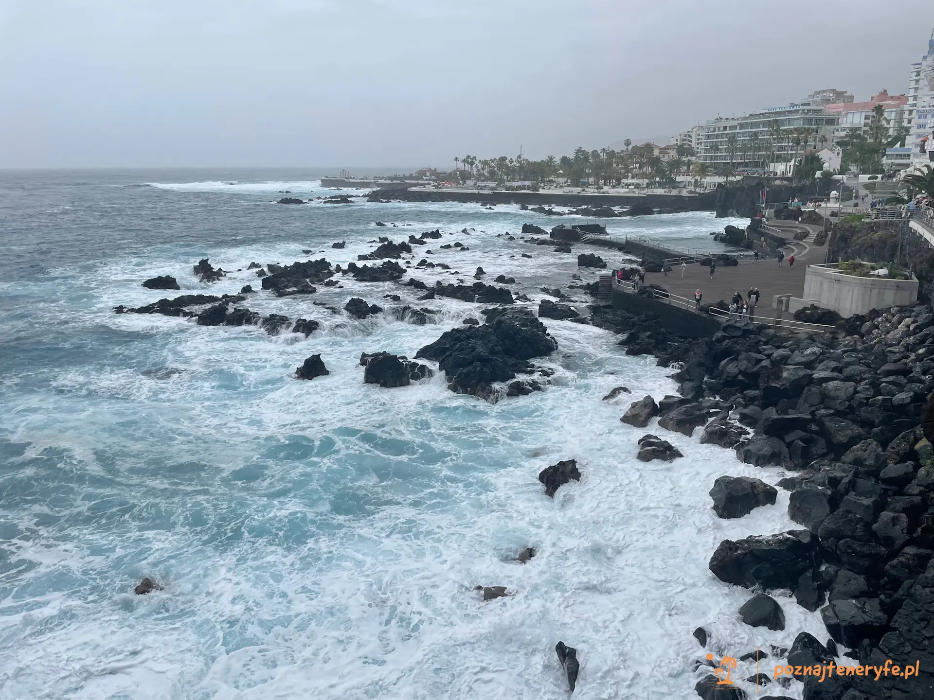 Puerto de la Cruz