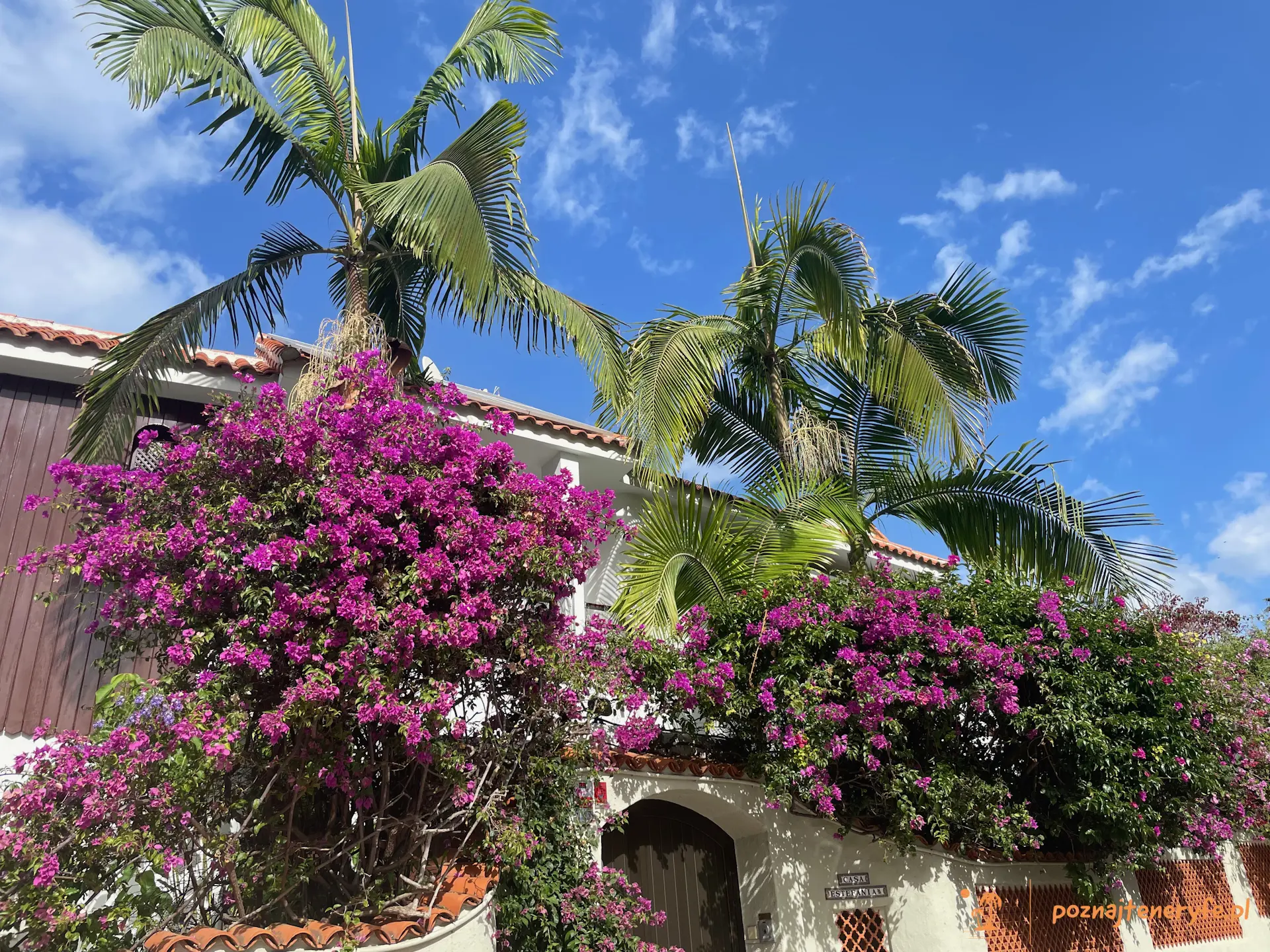 Puerto de la Cruz