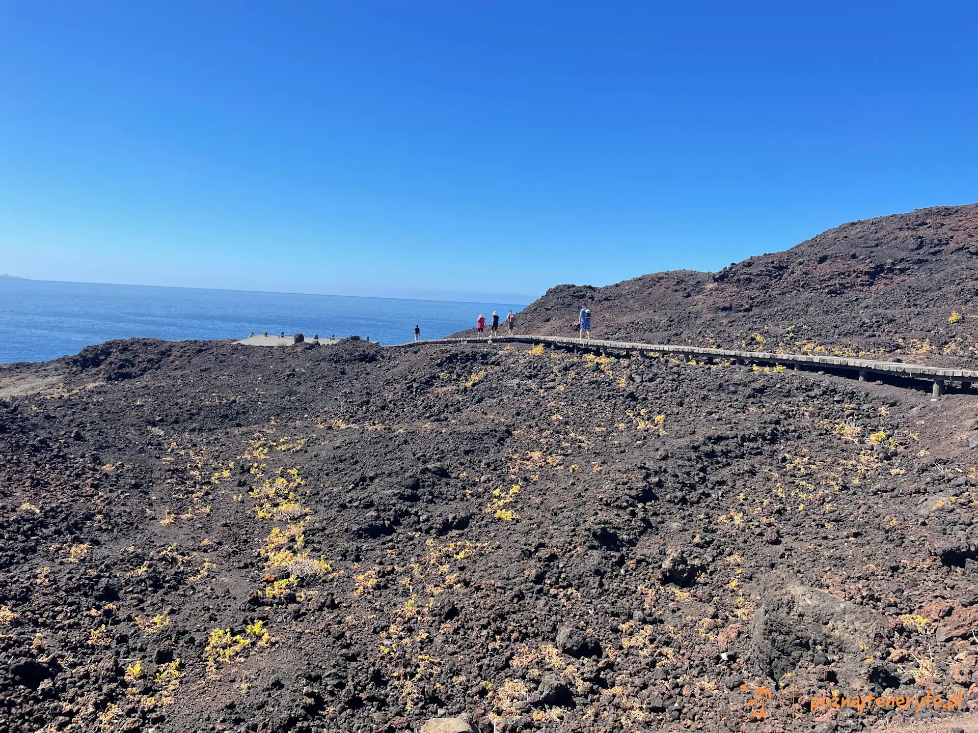 Punta de Teno