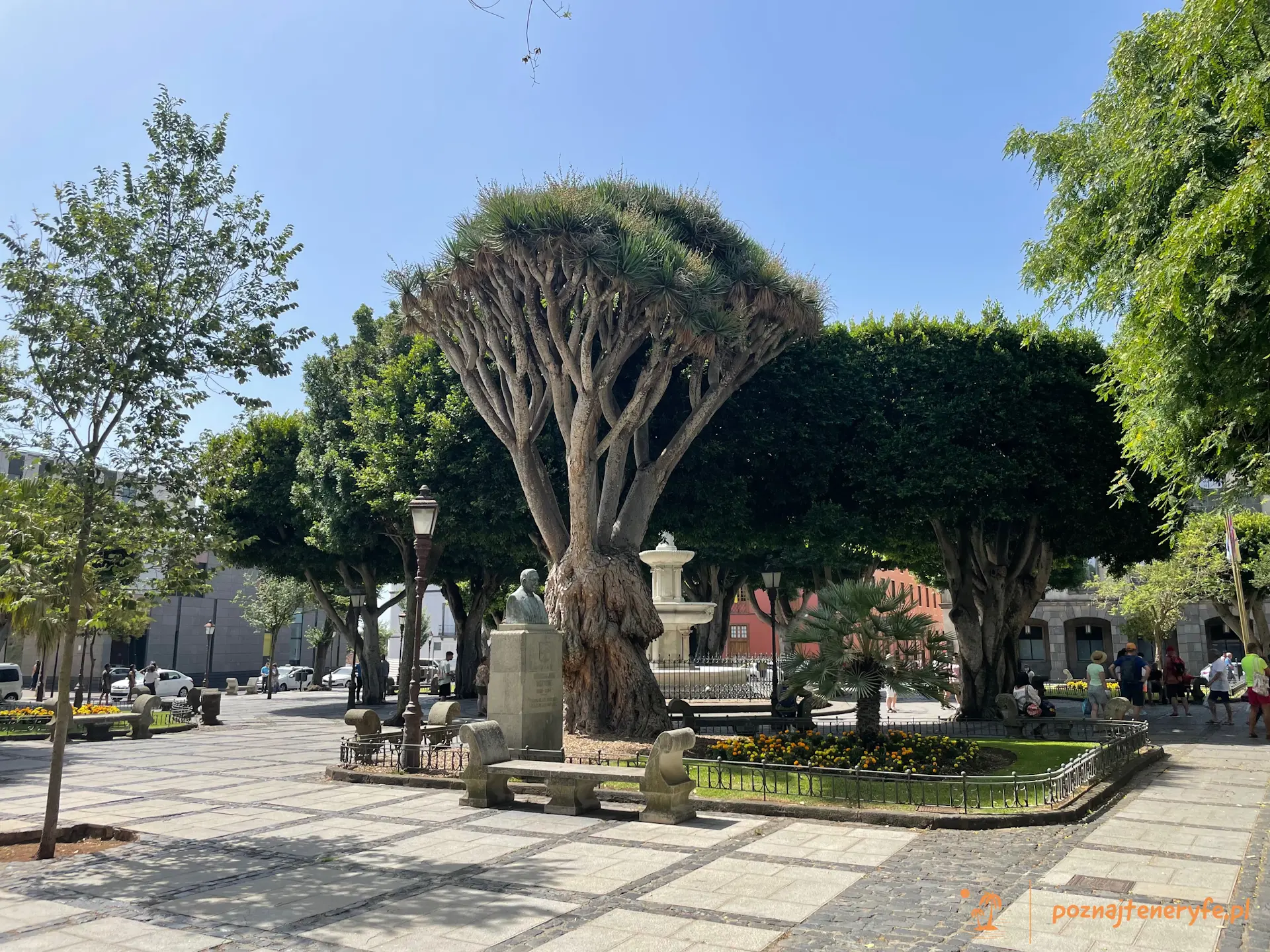 San Cristóbal de La Laguna