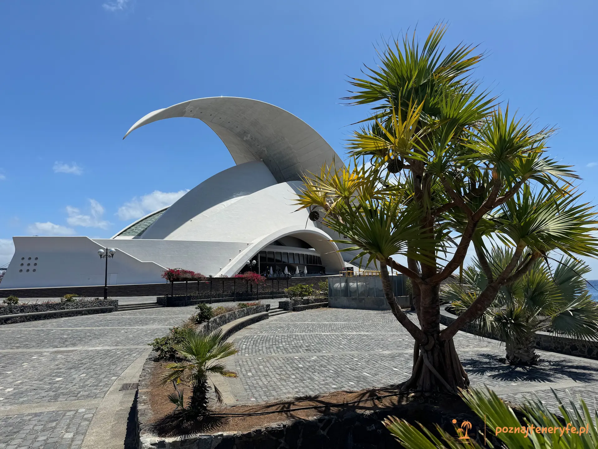 Santa Cruz de Tenerife