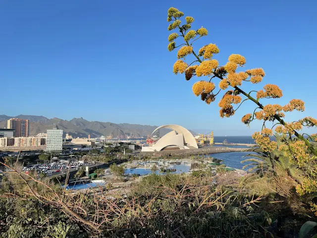 Santa Cruz de Tenerife