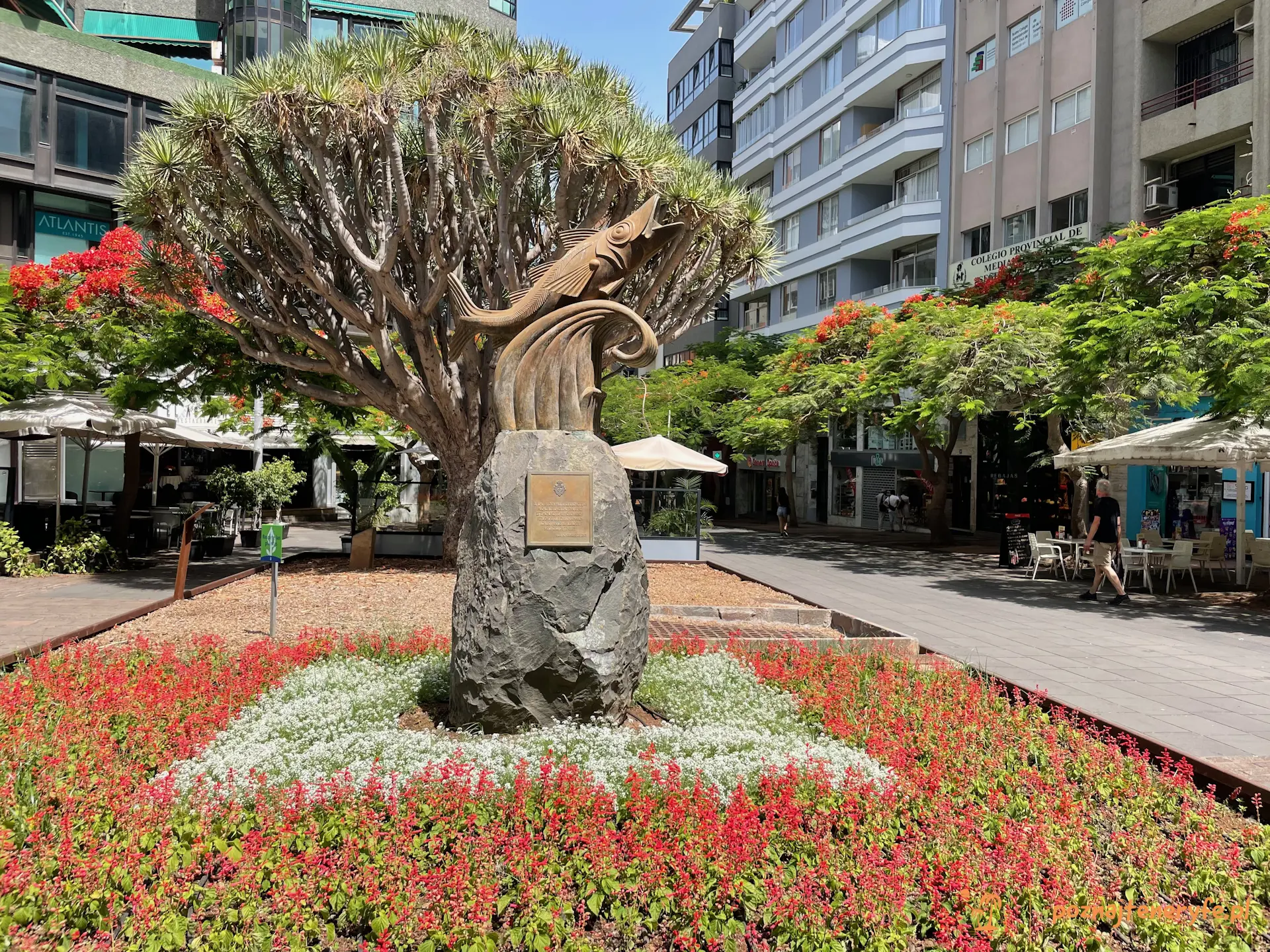 Santa Cruz de Tenerife