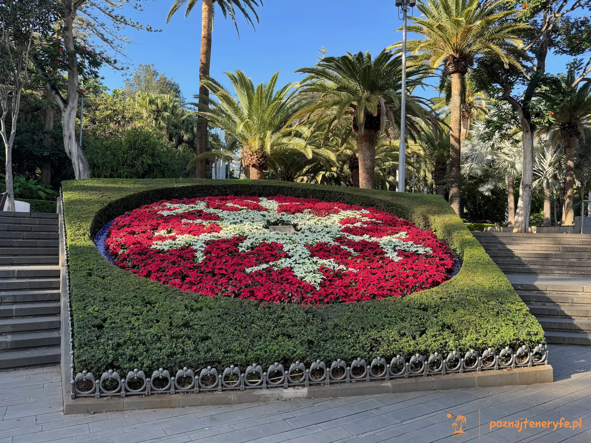 Santa Cruz de Tenerife