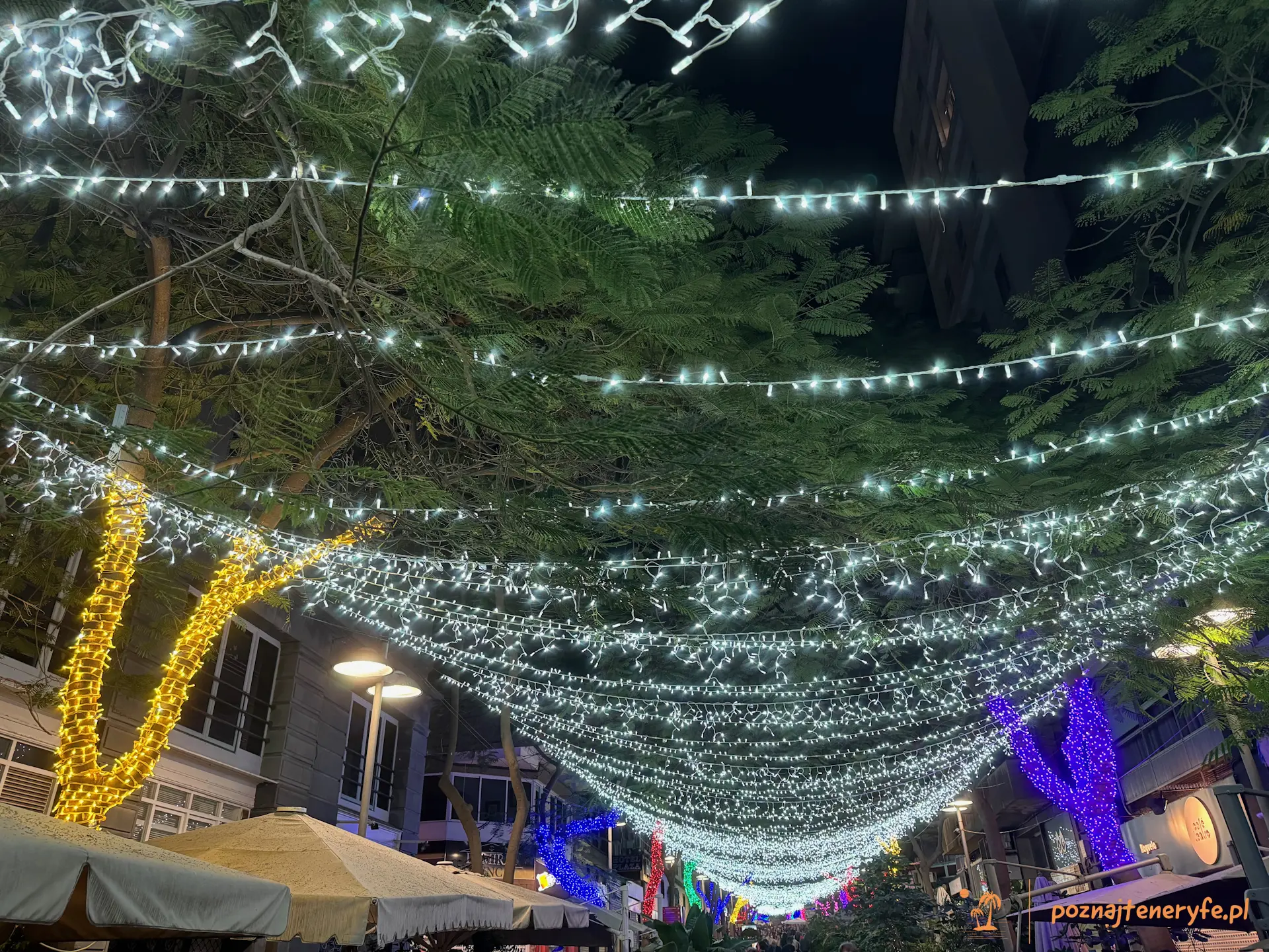 Santa Cruz de Tenerife