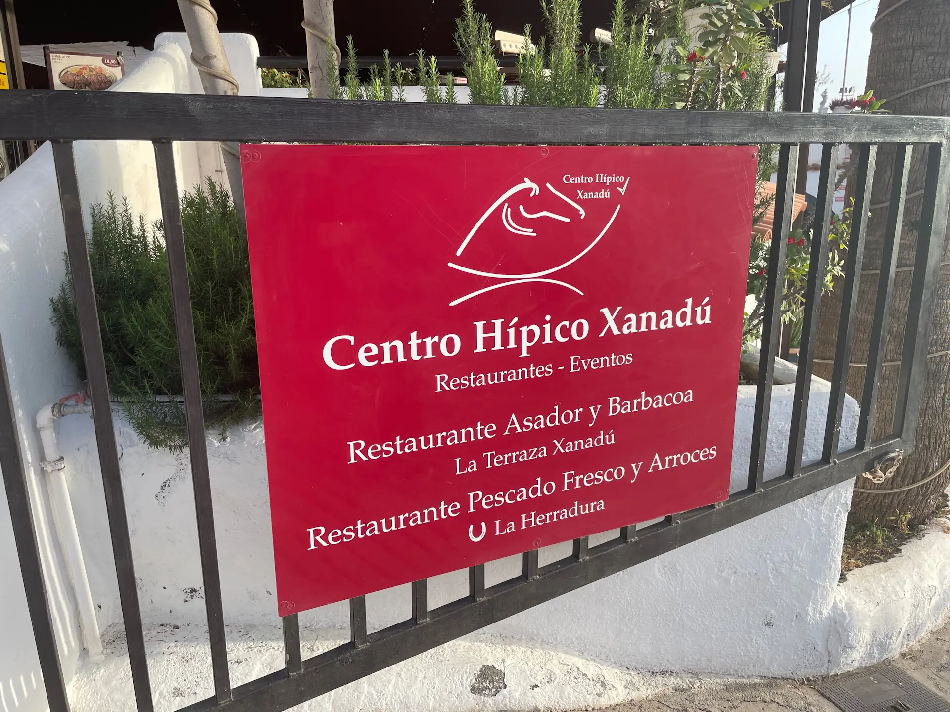 Xanadú - grill i konie