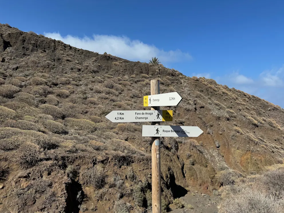 Camino de Roque Bermejo