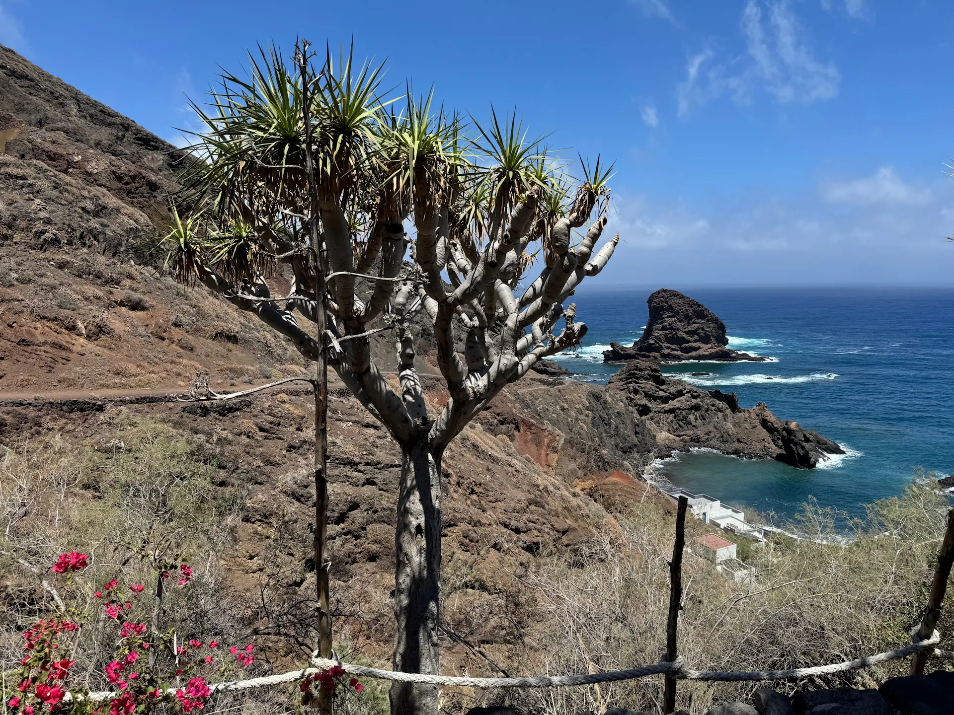 Chamorga - Roque Bermejo - Chamorga