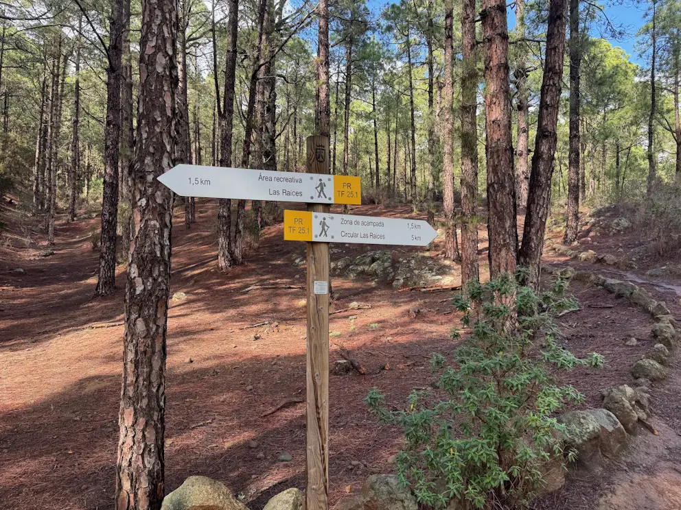 Circular Las Raíces