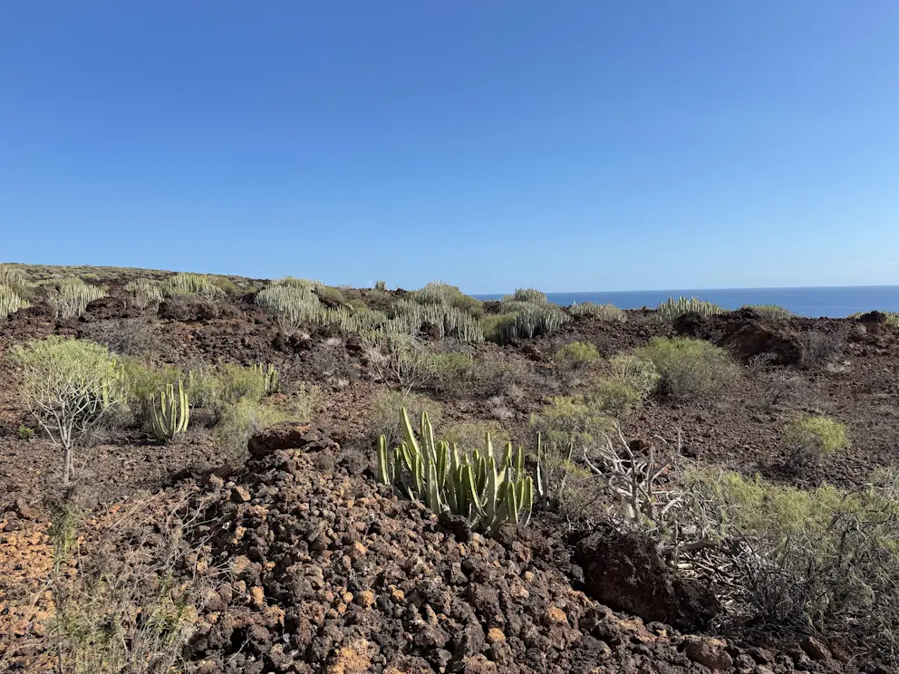 Malpaís de Güímar