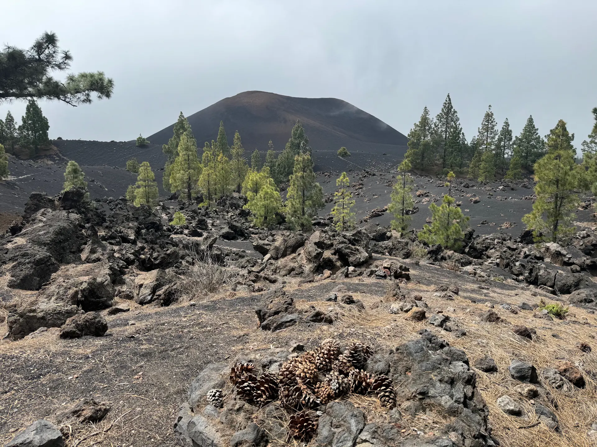 San José de Los Llanos - Chinyero - San José de Los Llanos