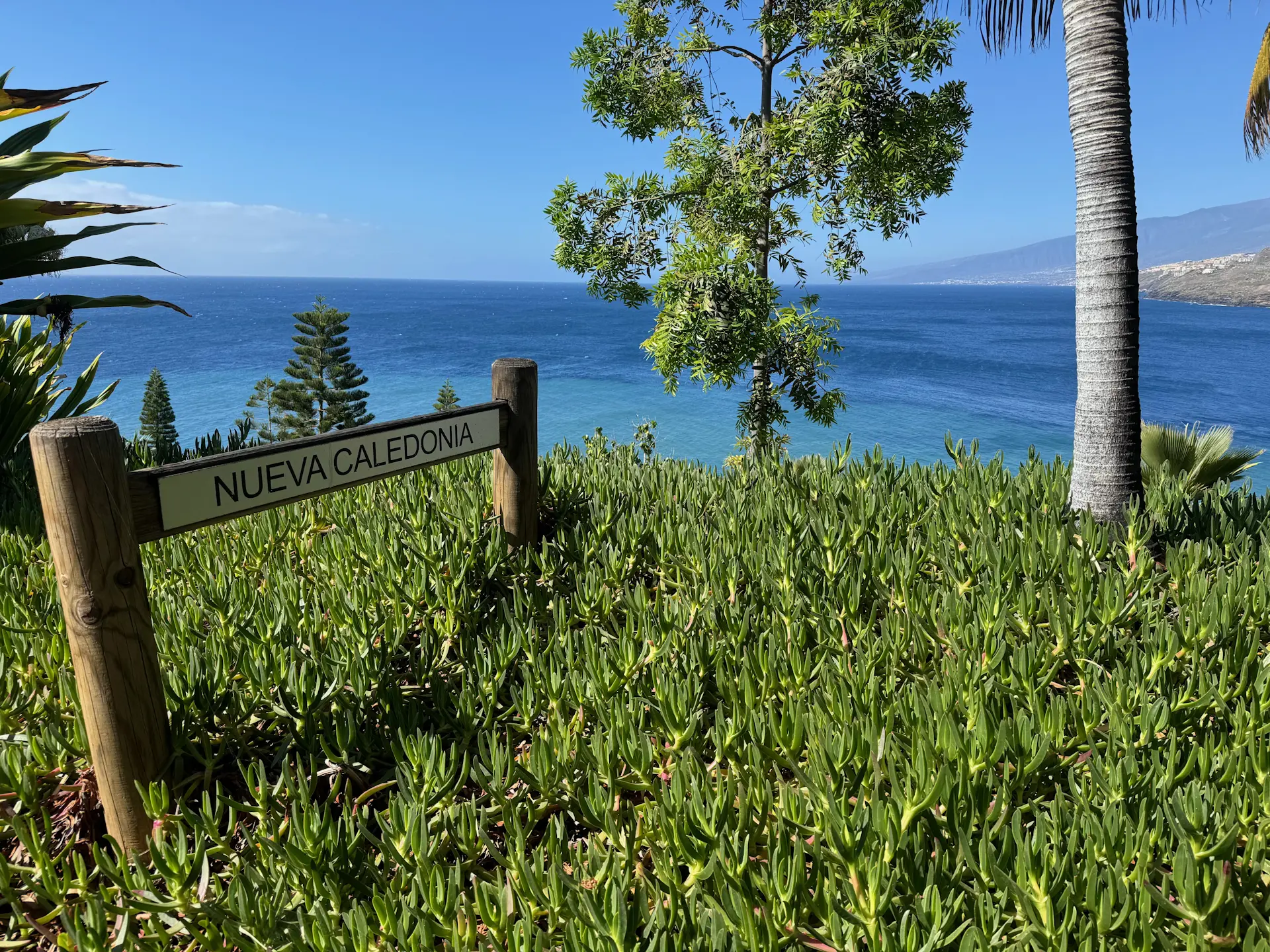 Santa Cruz - Palmetum