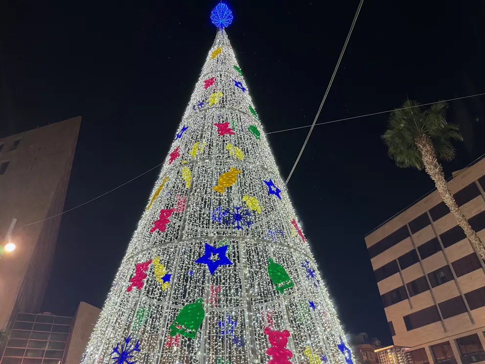 Choinka na Plaza del Patriotismo